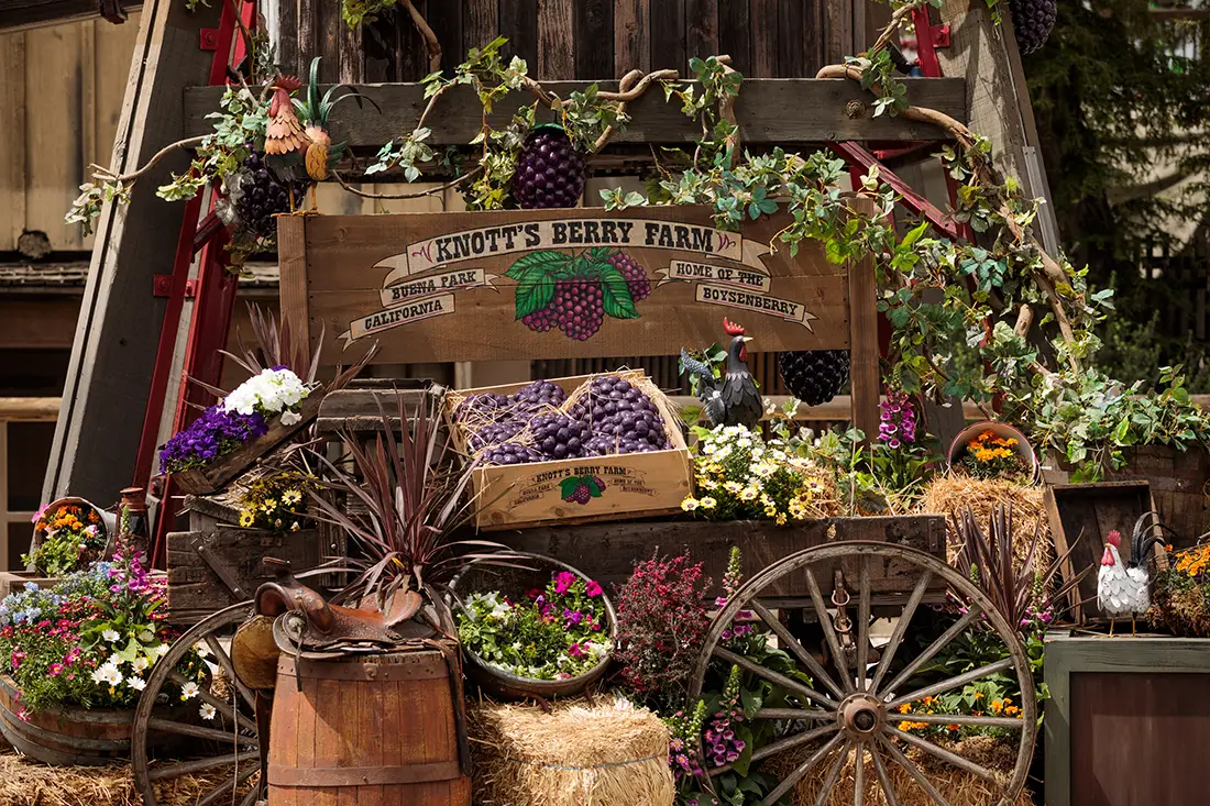 Knott's Boysenberry Festival Returns on March 13